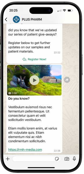 iPhone WhatsApp Conversation